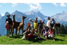 Kinderanimation Lama Trekking
